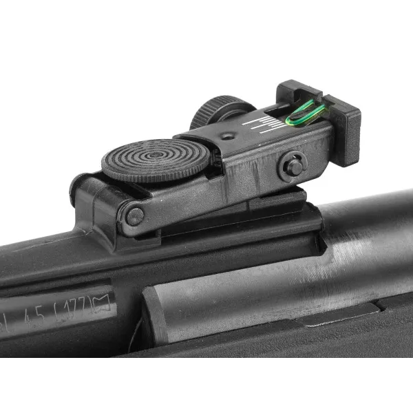 Carabine Gamo Black Fusion IGT 29 Joules + 4X32 WR