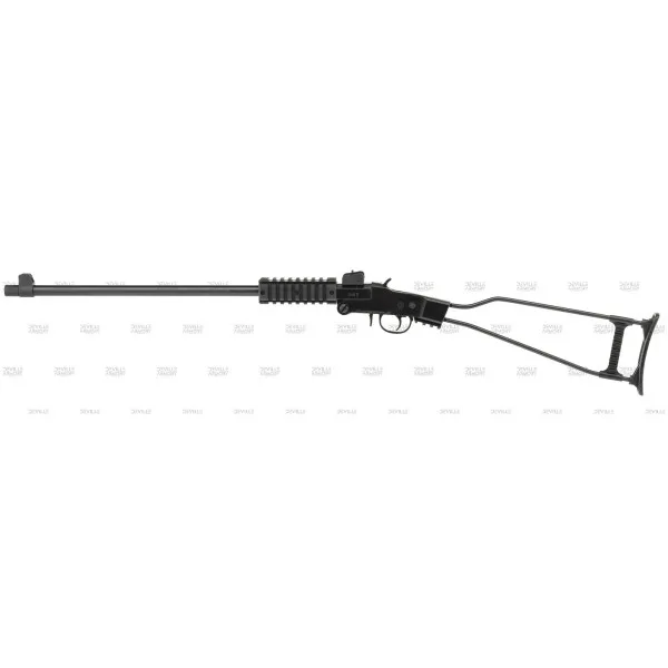 Chiappa Firearms Carabine pliante Little Badger 22LR