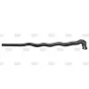 Cold Steel Dragon Walking Stick