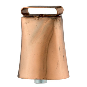 BOITE DE 20 CARTOUCHES HORNADY 460S&W 200GR FTX 9152*Hornady