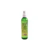 DAA Case lub 250ml