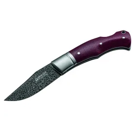 Desert Ironwood