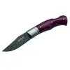 Desert Ironwood