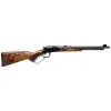 Carabine savage REVEL DLX 22LR