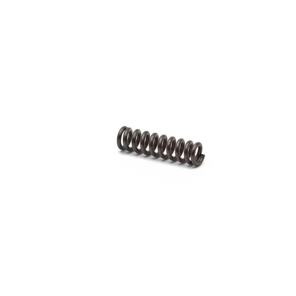 CZ P-10 Magazine Catch Spring