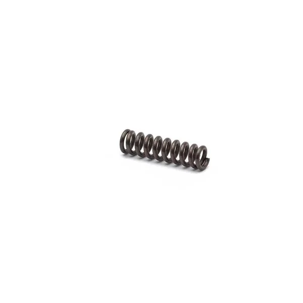 CZ P-10 Magazine Catch Spring