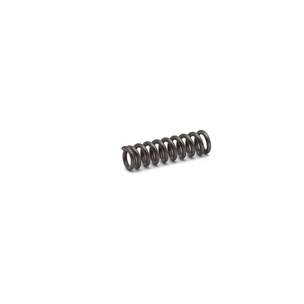 CZ P-10 Magazine Catch Spring