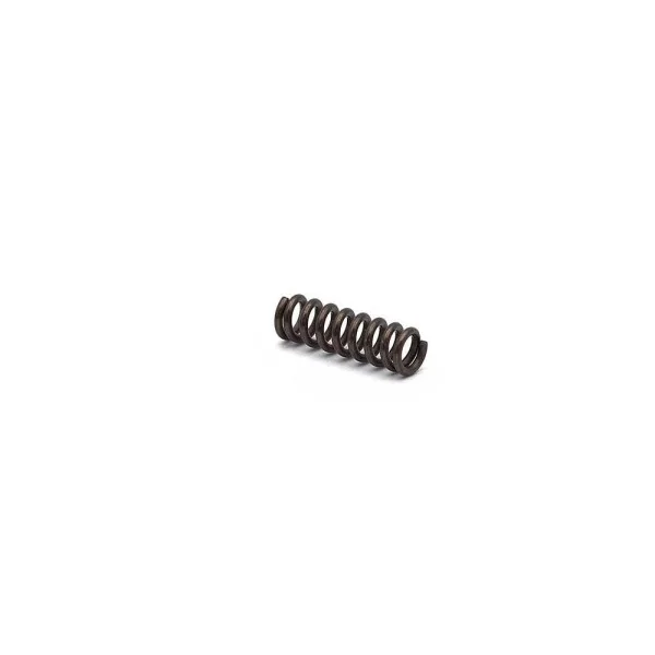 CZ P-10 Disassembly Plate Spring