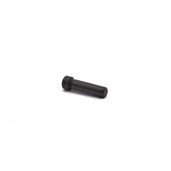 CZ 75 SP-01 / Shadow2 / TS Hammer Pin