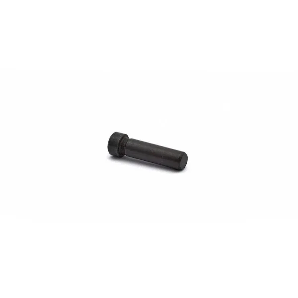 CZ 75 SP-01 / Shadow2 / TS Hammer Pin