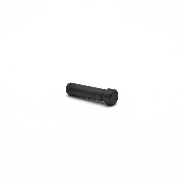 CZ 75 SP-01 / Shadow2 / TS Hammer Pin