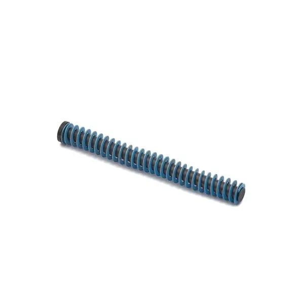 CZ P-09 Recoil Spring