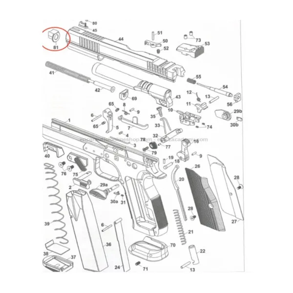 CZ TS2 Orange Insert Slide Bushing .40 SW