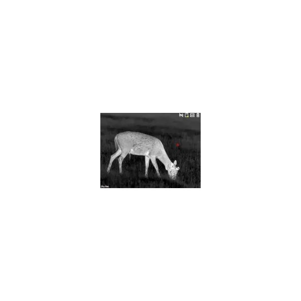 Monoculaire thermique Pixfra série ARC Noir A425