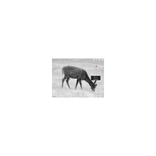Monoculaire thermique Pixfra série ARC Noir A635
