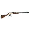 CARA HENRY GOLDEN BOY .22LR 20 51CM H004  Chez DEVILLE ARMORY. Votre armurerie en ligne.