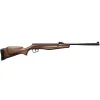 CARA AIR STOEGER RX5 BOIS HAUSSE ET GUIDON CAL.4,5 10J RX5W0001A