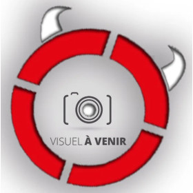 Pistolet RUGER 22 Charger Lite .22LR 25.4CM Noir  Chez DEVILLE ARMORY. Votre armurerie en ligne.