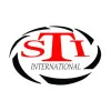 Eeman Tech STI Logo Sticker, 75x45mm