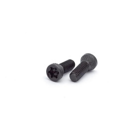 Eemann Tech Grip Screws for CZ / Tanfoglio - 2 pcs./Set  Chez DEVILLE ARMORY. Votre armurerie en ligne.
