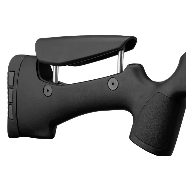 Pack carabine Gamo HPA PCP + 6-24x50 + silencieux + bipied