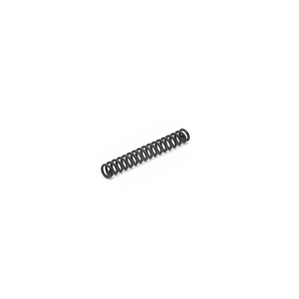 Tanfoglio Hammer Spring