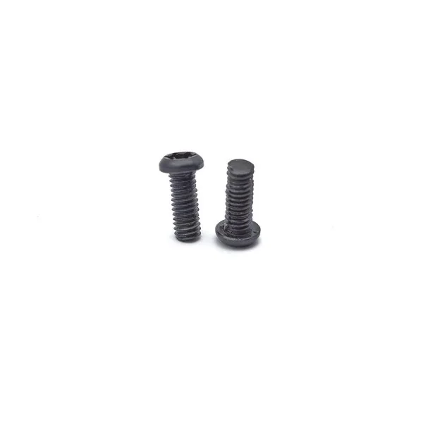 Tanfoglio Xtreme Torx Screws for Xtreme Grips