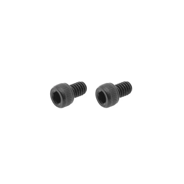 Eemann Tech Bolt Carrier Key Screw pour AR-15 - 2 pcs.
