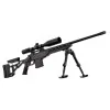 Pack HOWA 1500 châssis TSP-X 308 Win + bipied lourd + lunette + mallette