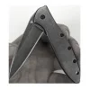 Leek Blackwash